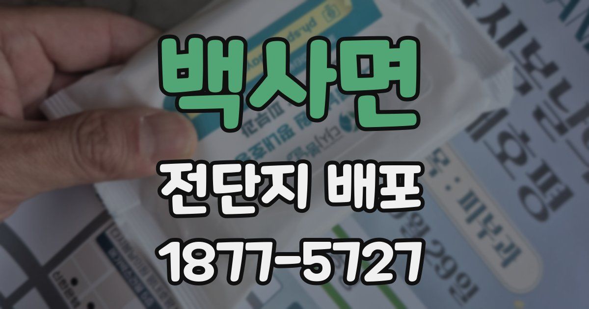 백사면 전단지 배포