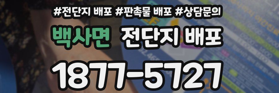 백사면 전단지 배포