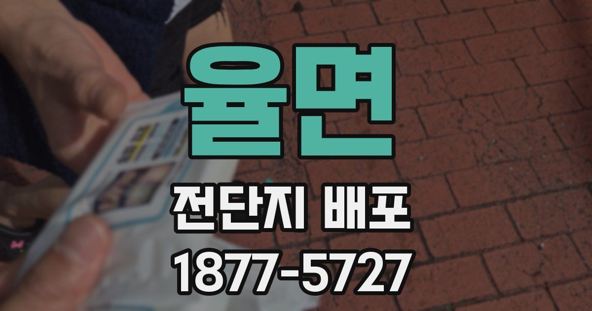 율면 전단지 배포