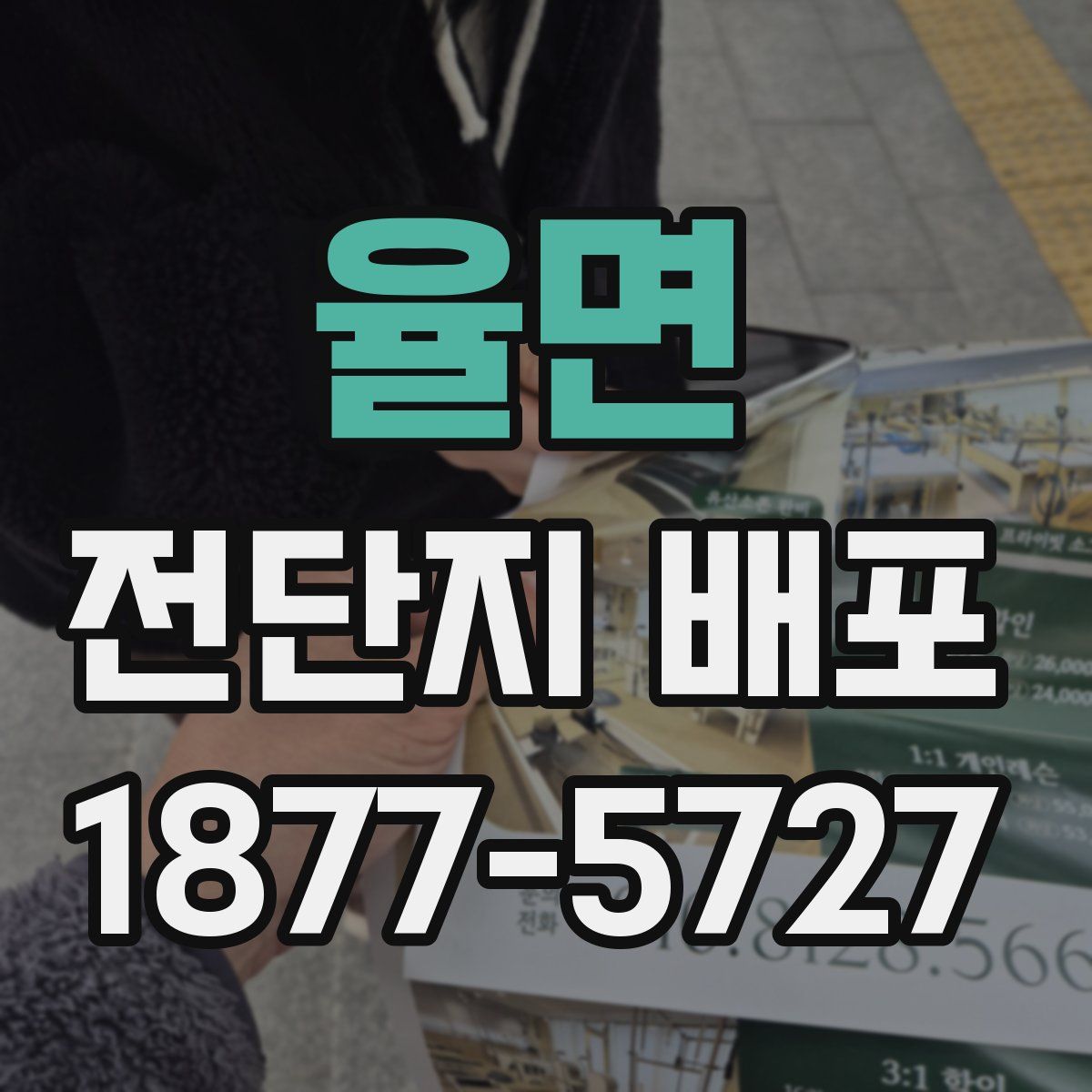 율면 전단지 배포