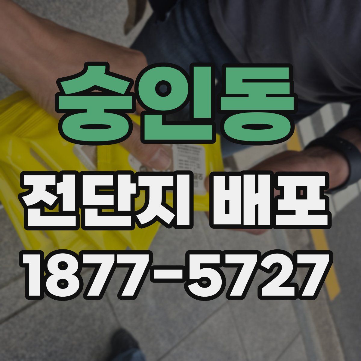 숭인동 전단지 배포