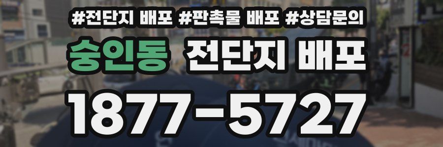 숭인동 전단지 배포