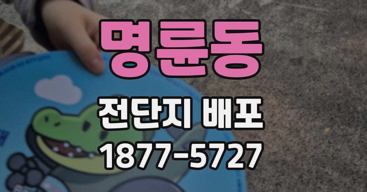 명륜동 전단지 배포