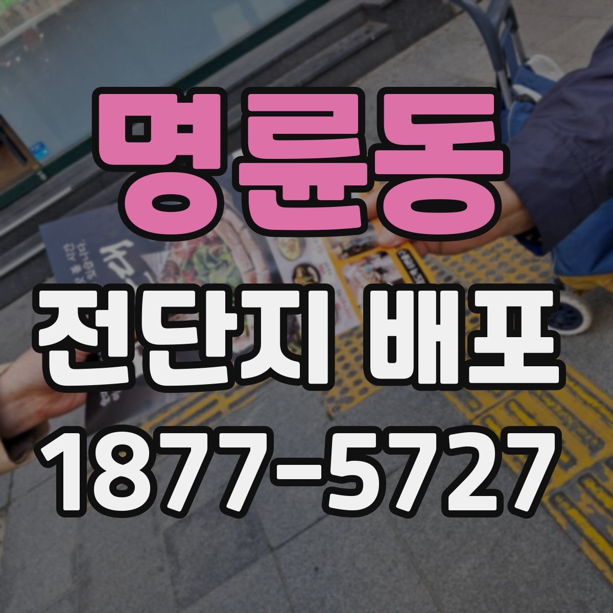 명륜동 전단지 배포