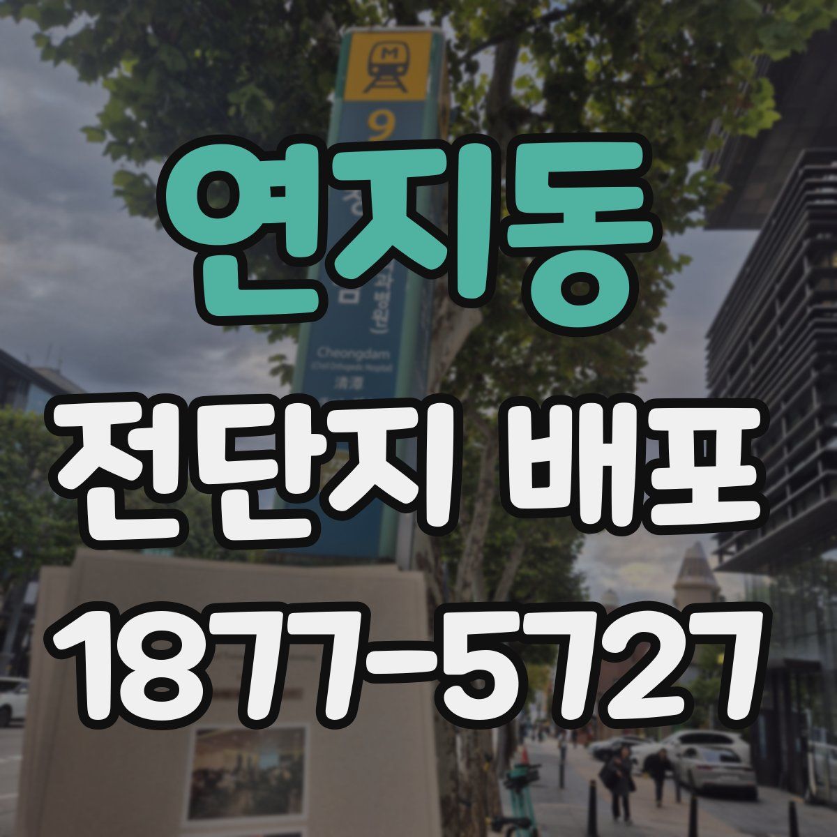 연지동 전단지 배포