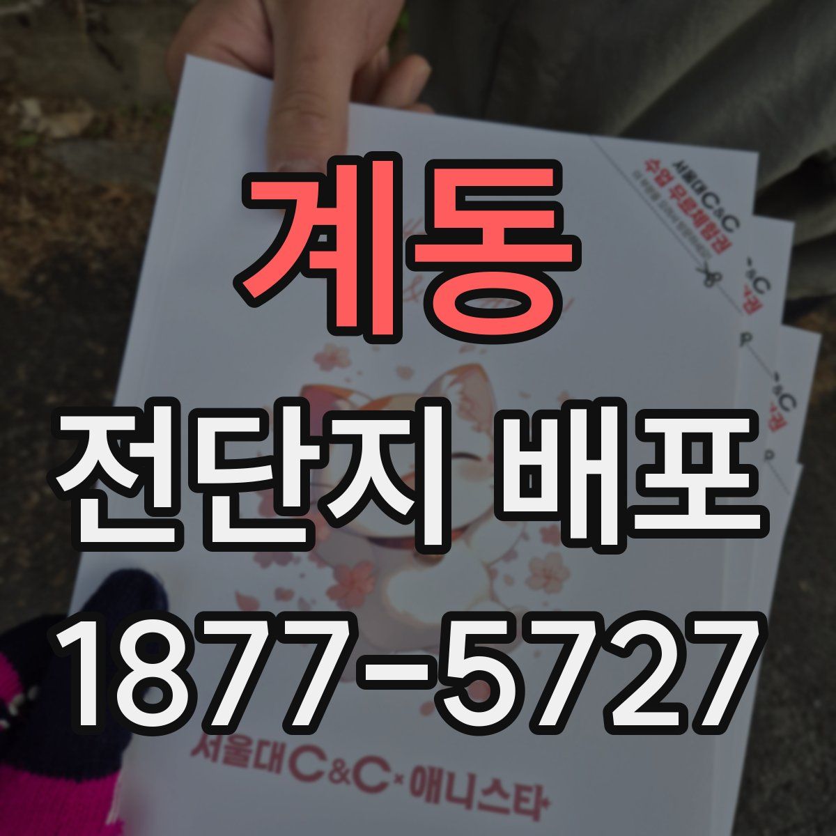 계동 전단지 배포