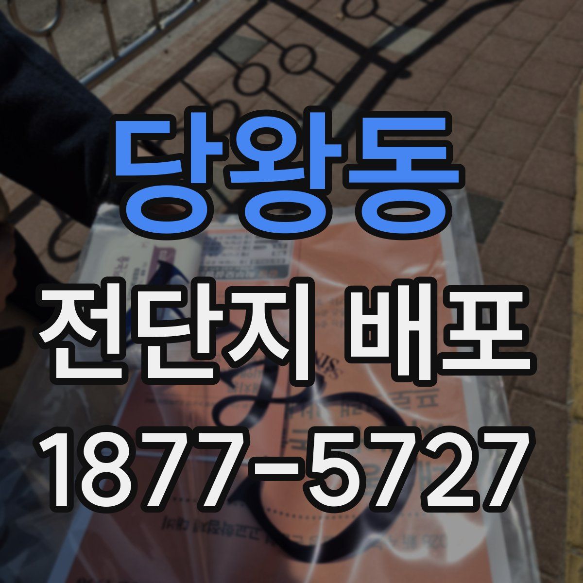 당왕동 전단지 배포