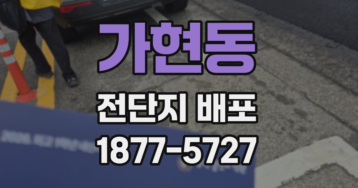 가현동 전단지 배포