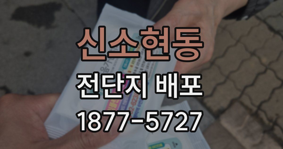 신소현동 전단지 배포
