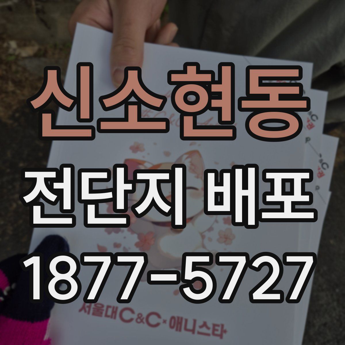 신소현동 전단지 배포