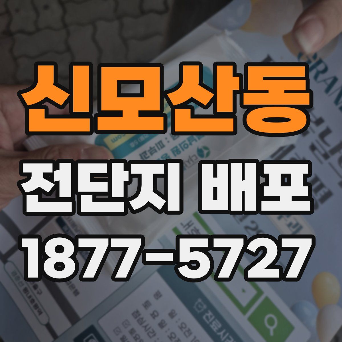 신모산동 전단지 배포