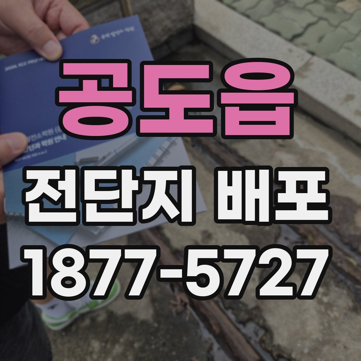 공도읍 전단지 배포