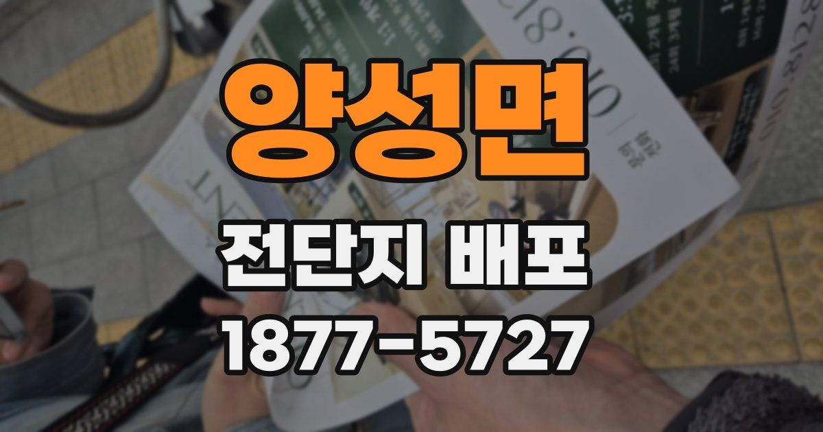 양성면 전단지 배포