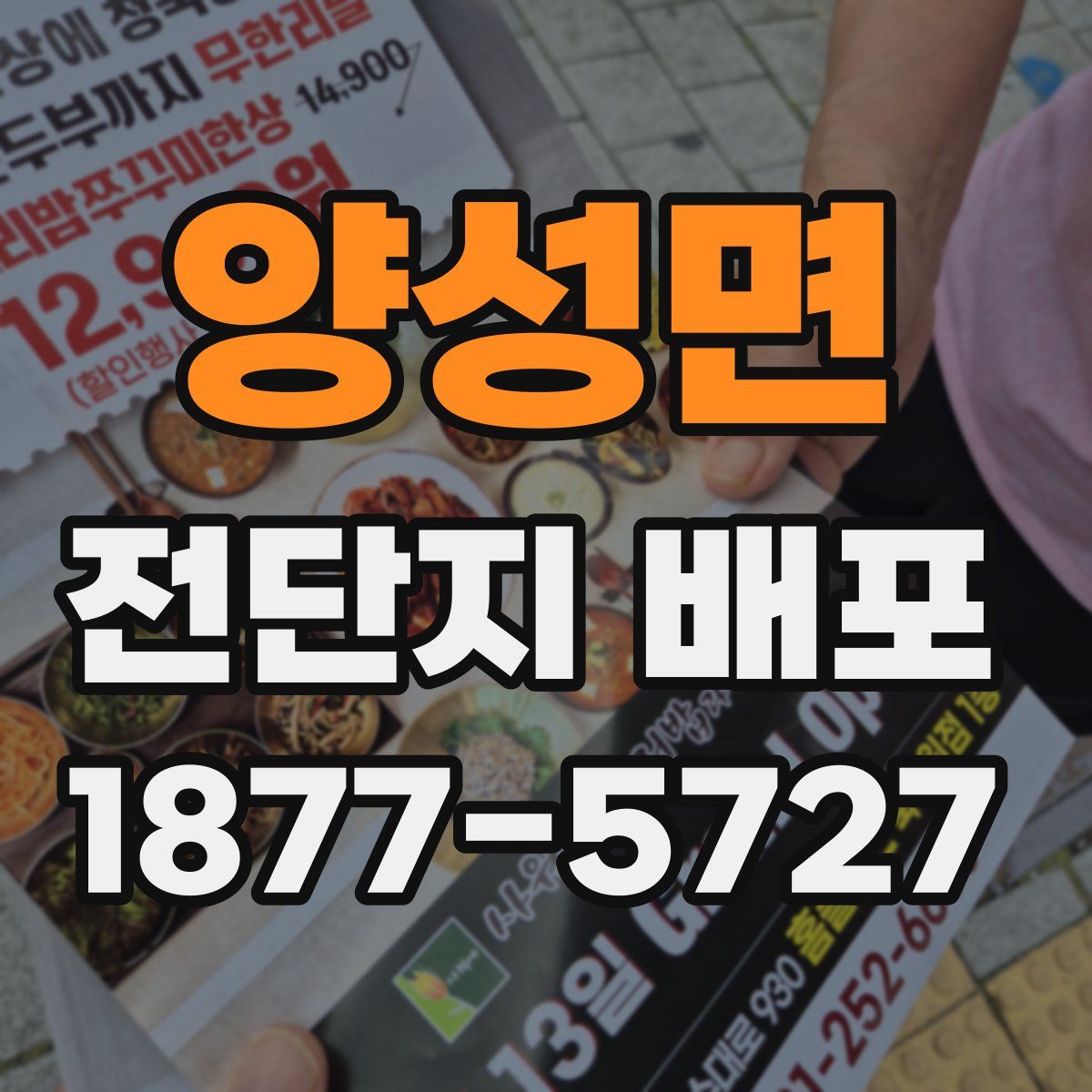 양성면 전단지 배포