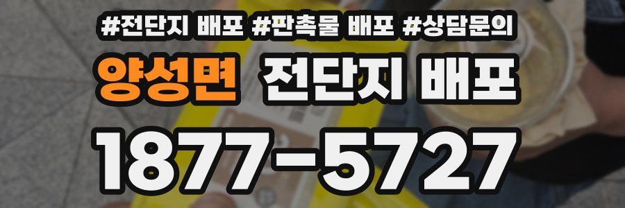 양성면 전단지 배포