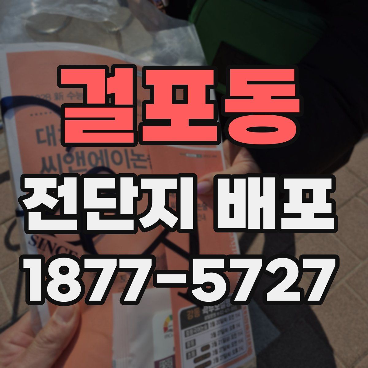 걸포동 전단지 배포