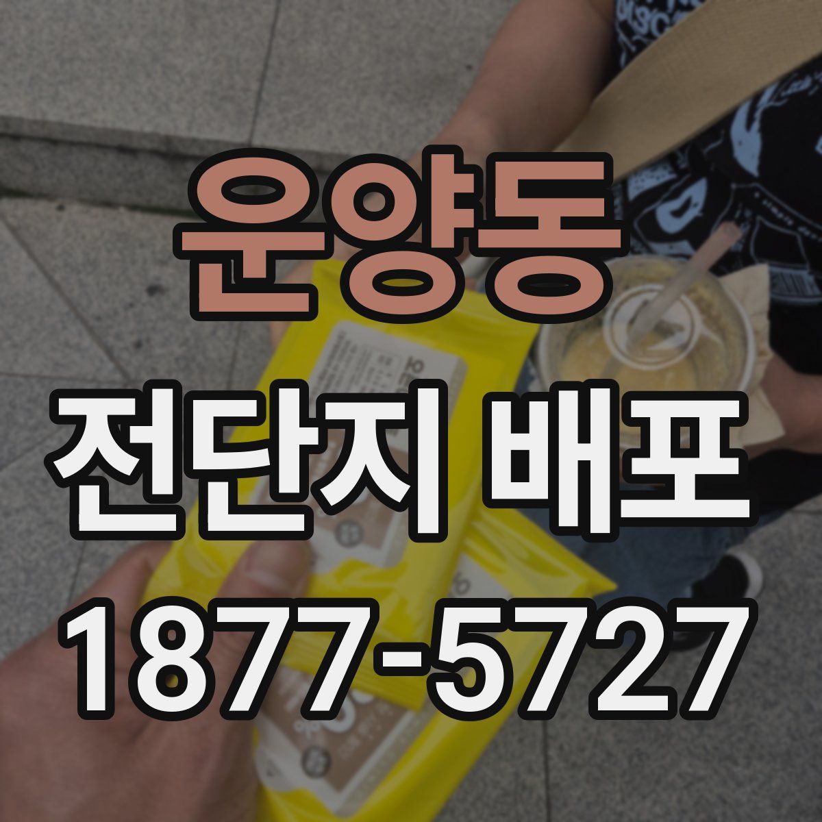 운양동 전단지 배포