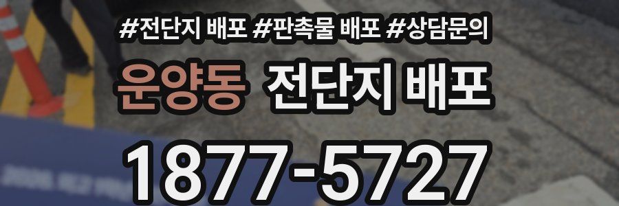 운양동 전단지 배포