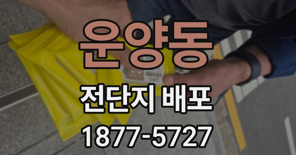 운양동 전단지 배포