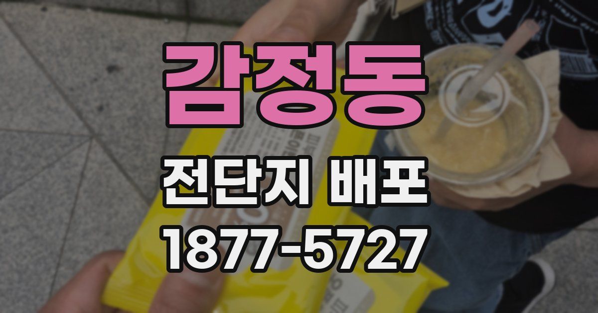 감정동 전단지 배포