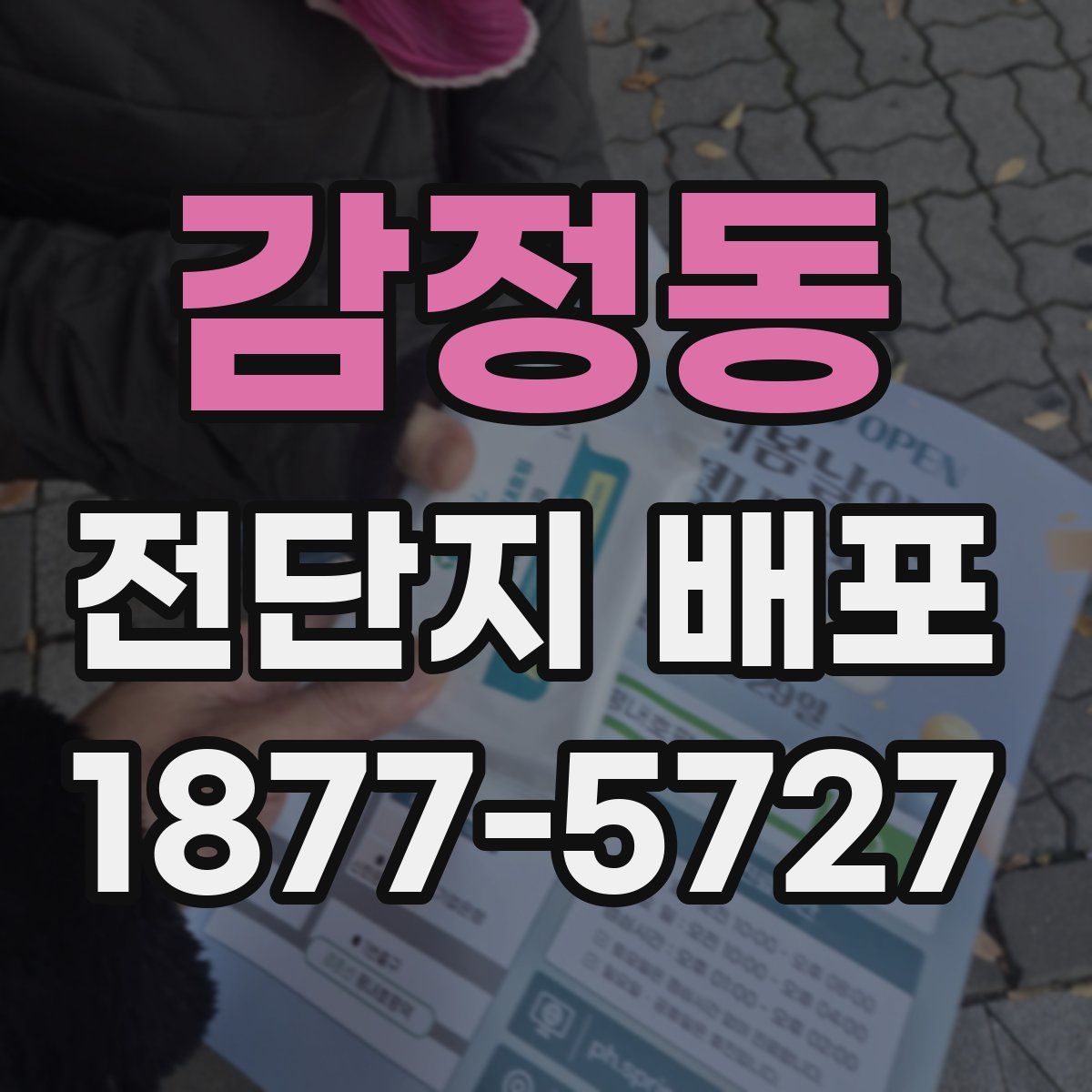 감정동 전단지 배포