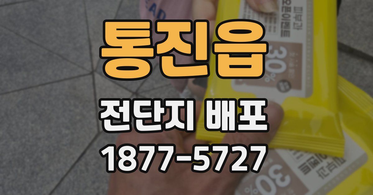 통진읍 전단지 배포