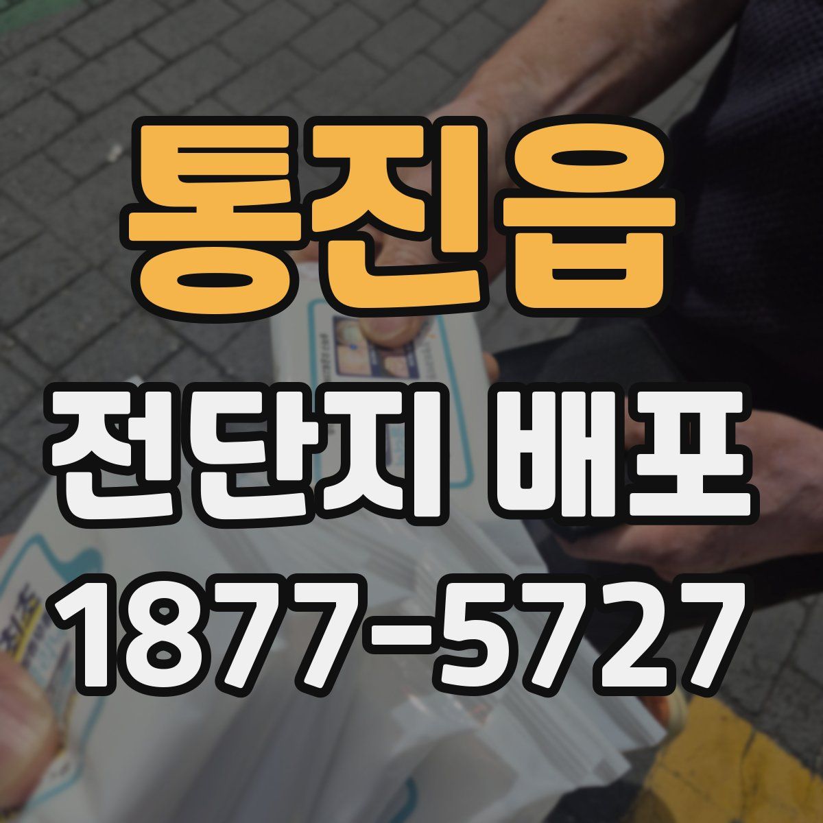 통진읍 전단지 배포