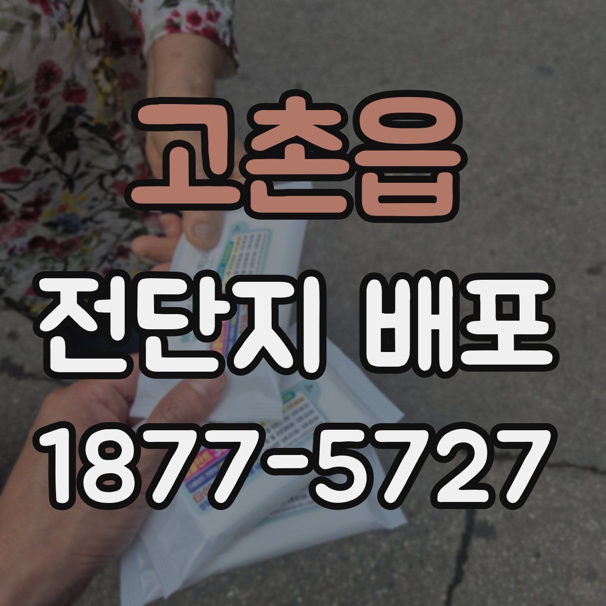고촌읍 전단지 배포