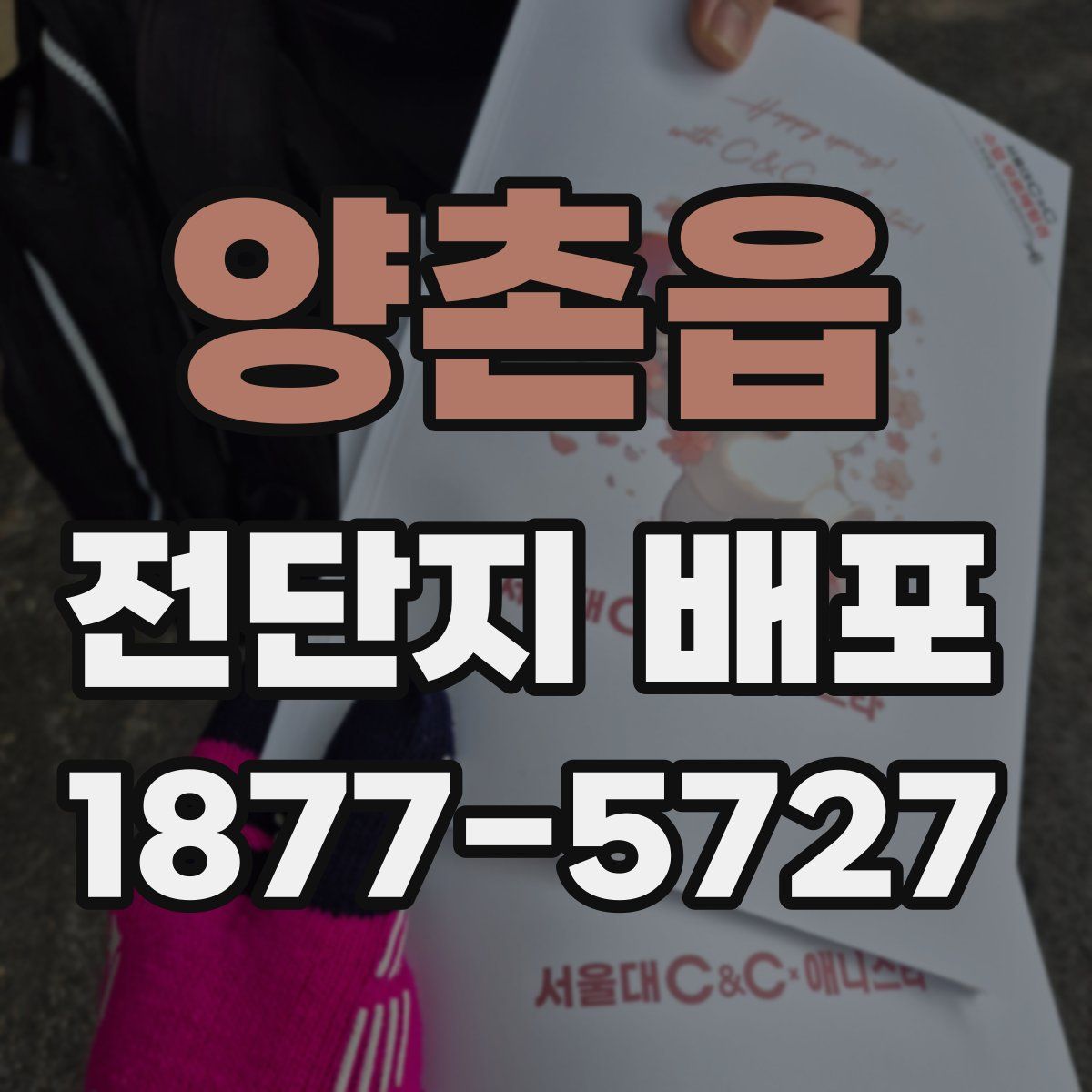 양촌읍 전단지 배포