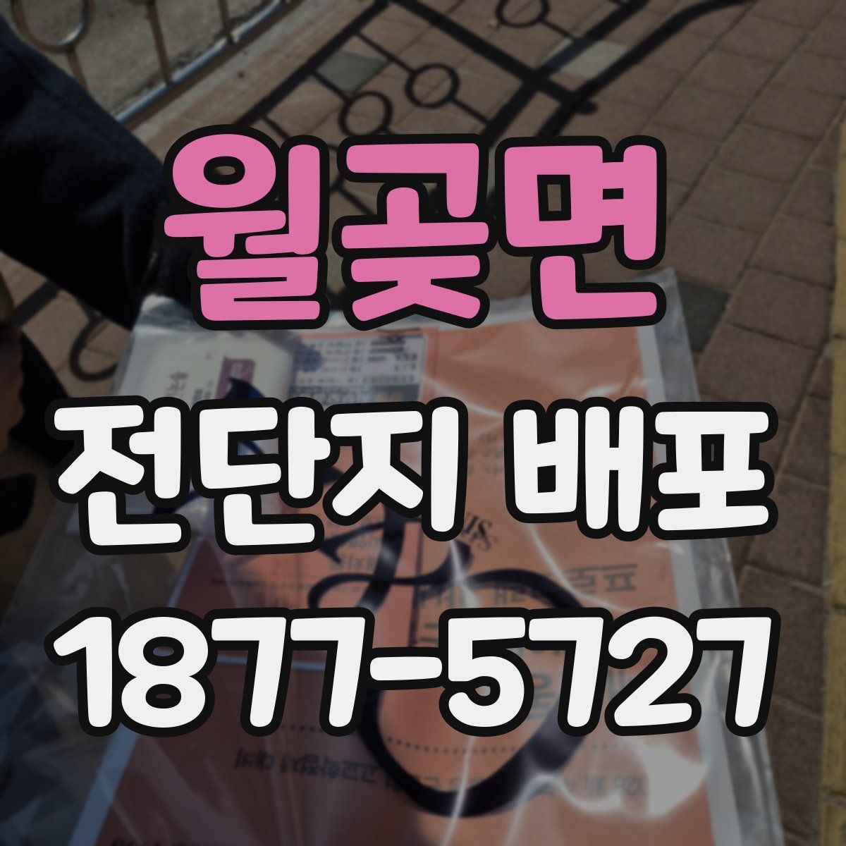 월곶면 전단지 배포