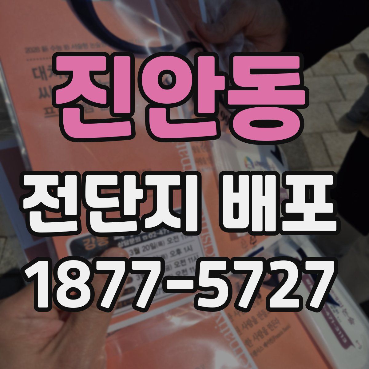 진안동 전단지 배포