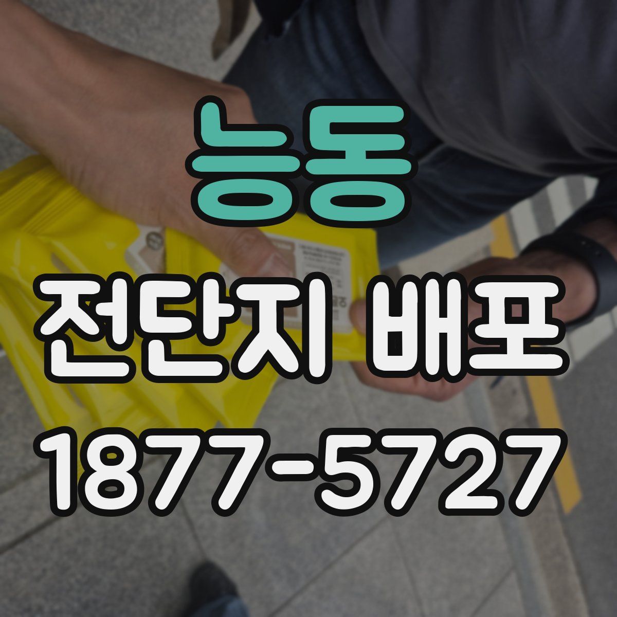 능동 전단지 배포