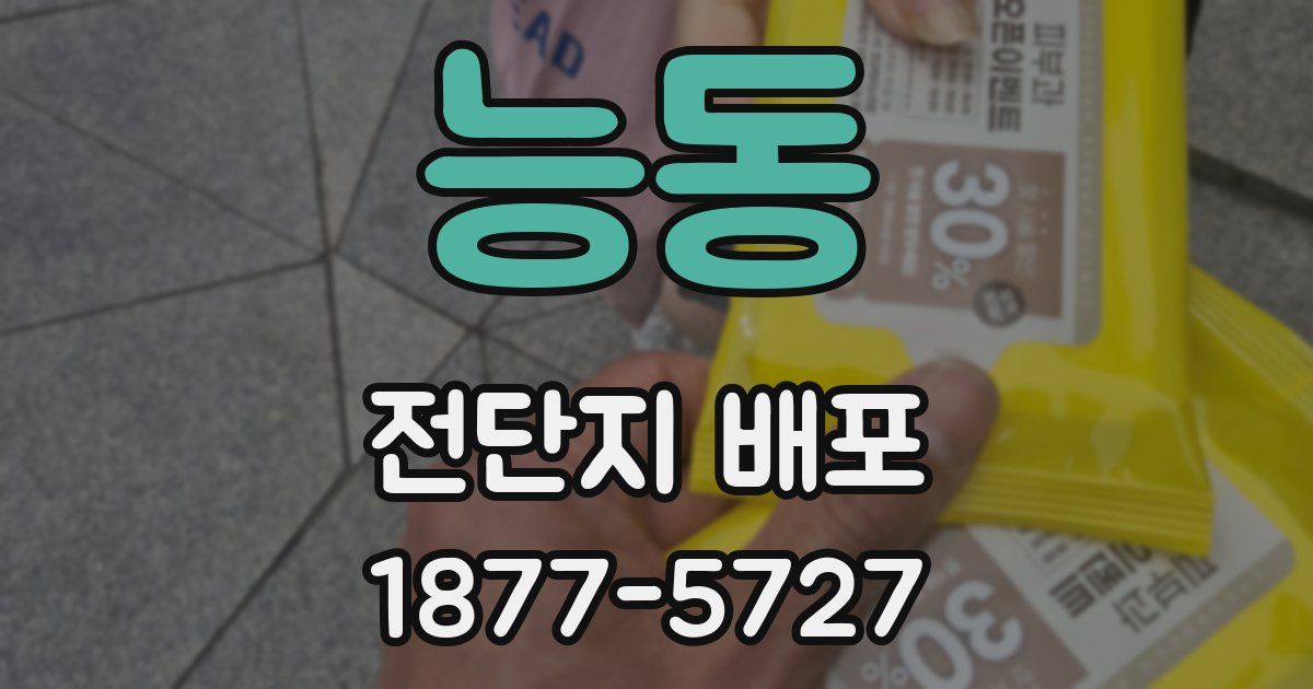 능동 전단지 배포