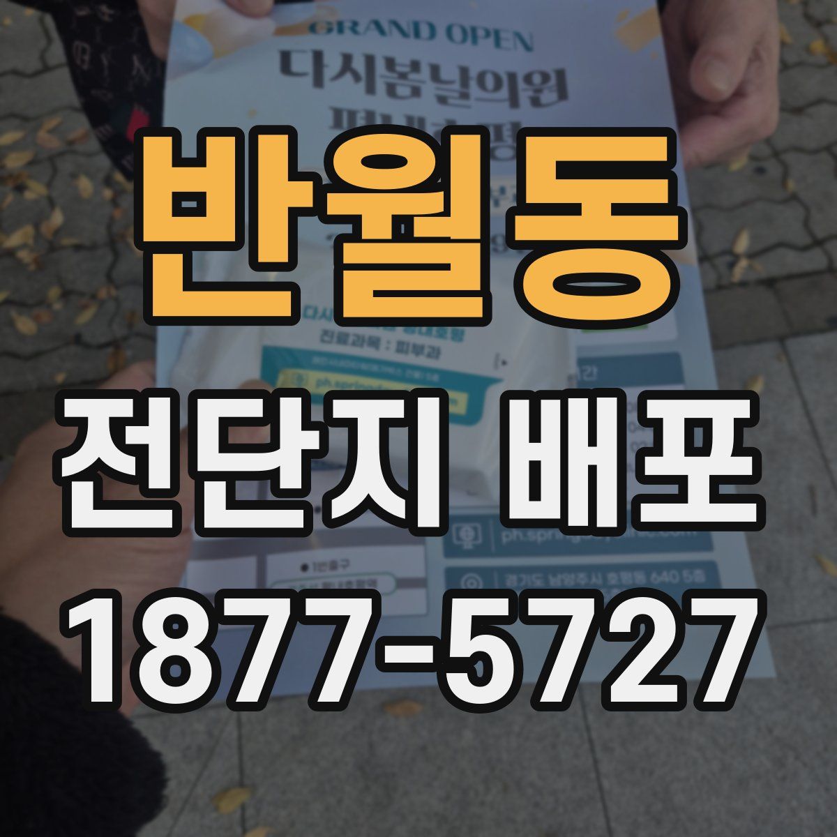 반월동 전단지 배포