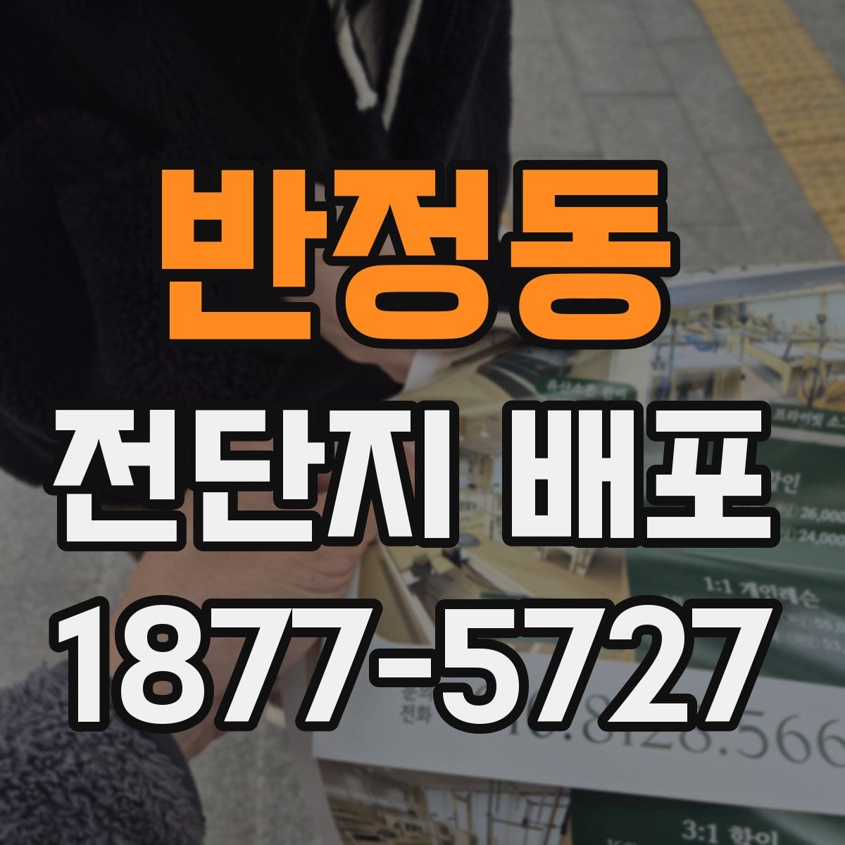 반정동 전단지 배포