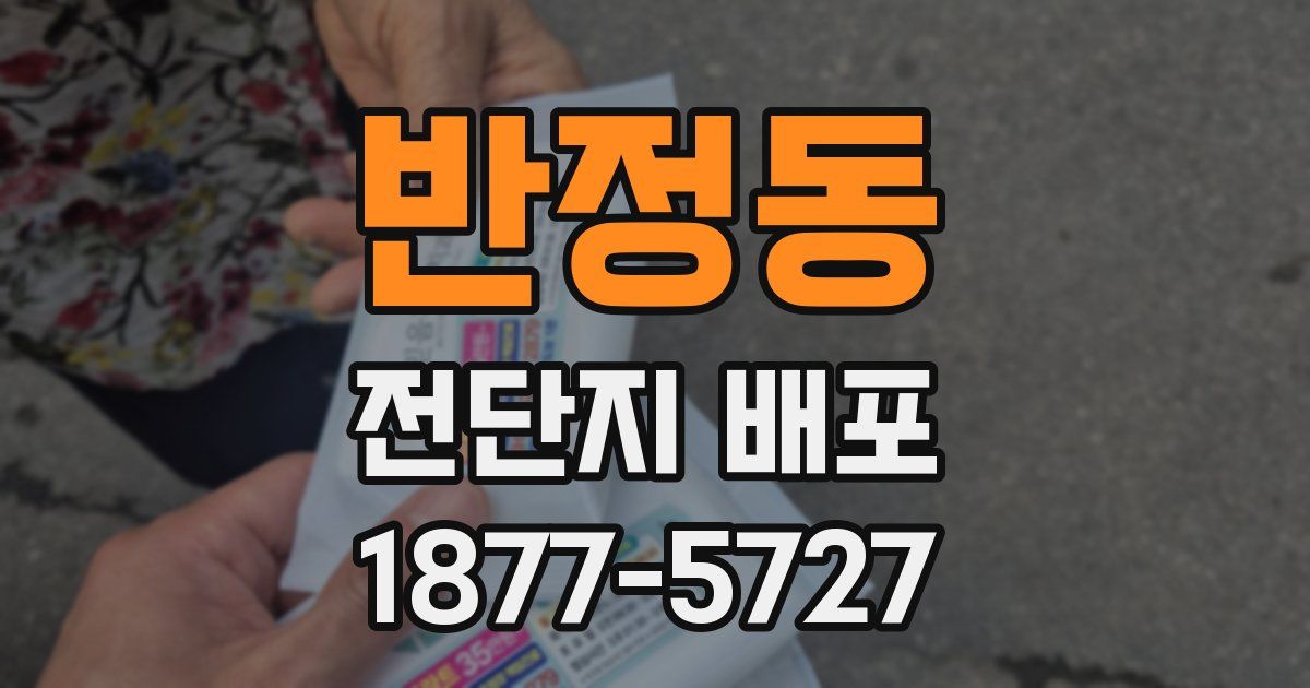 반정동 전단지 배포