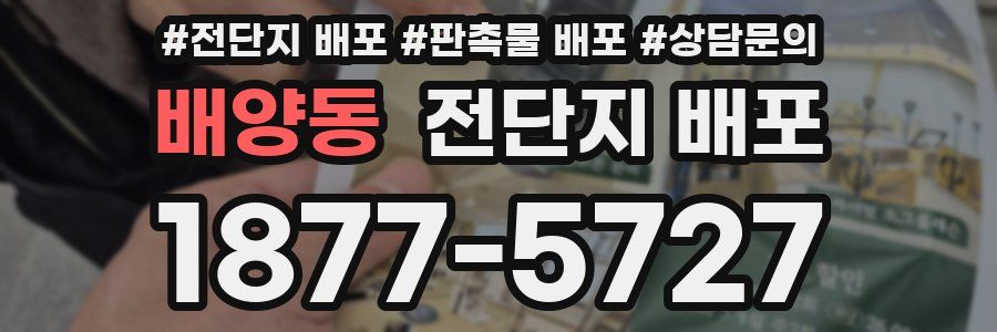 배양동 전단지 배포