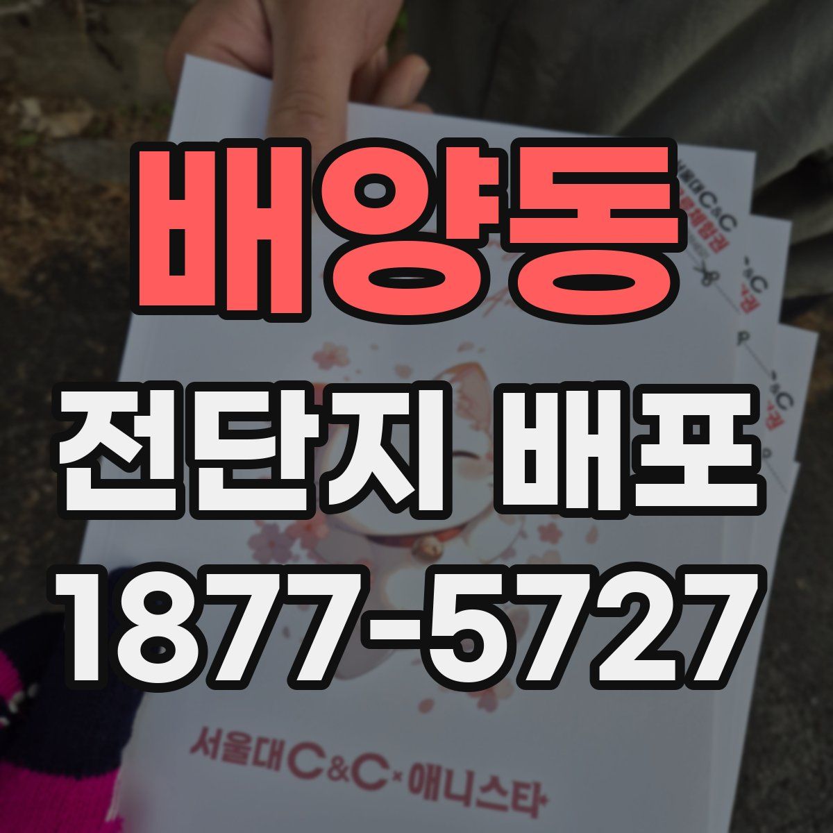 배양동 전단지 배포