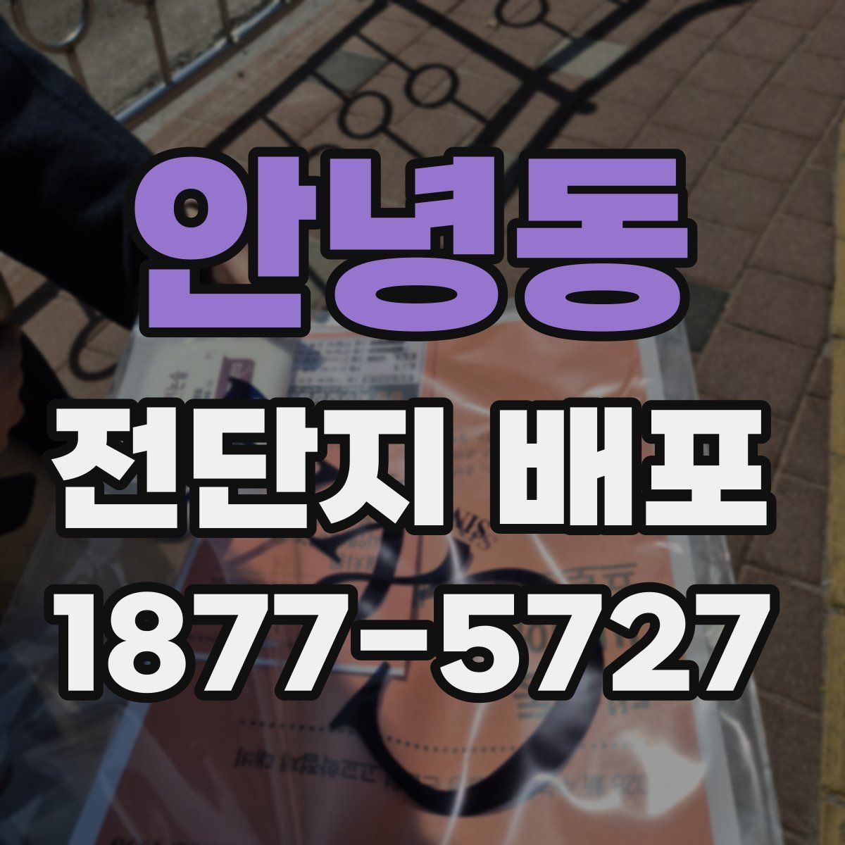 안녕동 전단지 배포