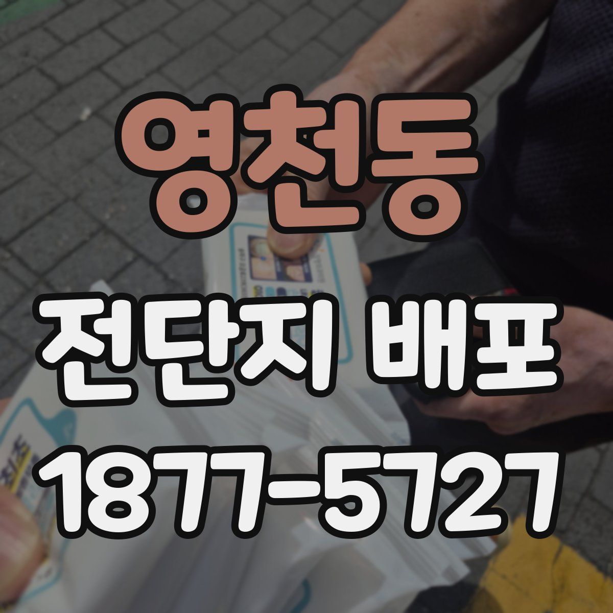 영천동 전단지 배포