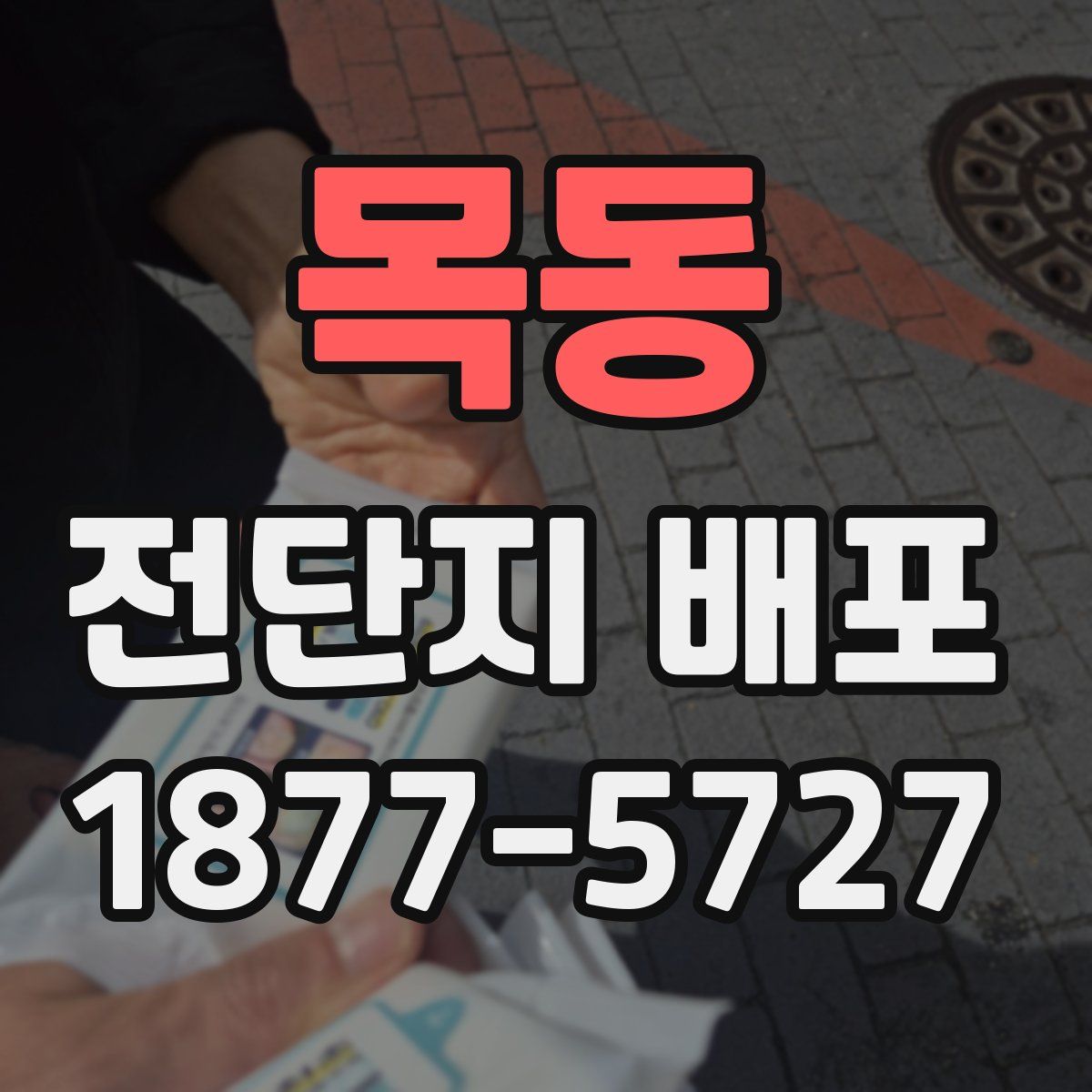 목동 전단지 배포