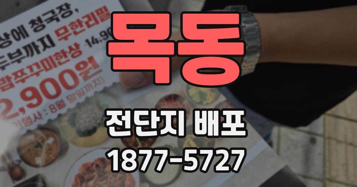 목동 전단지 배포