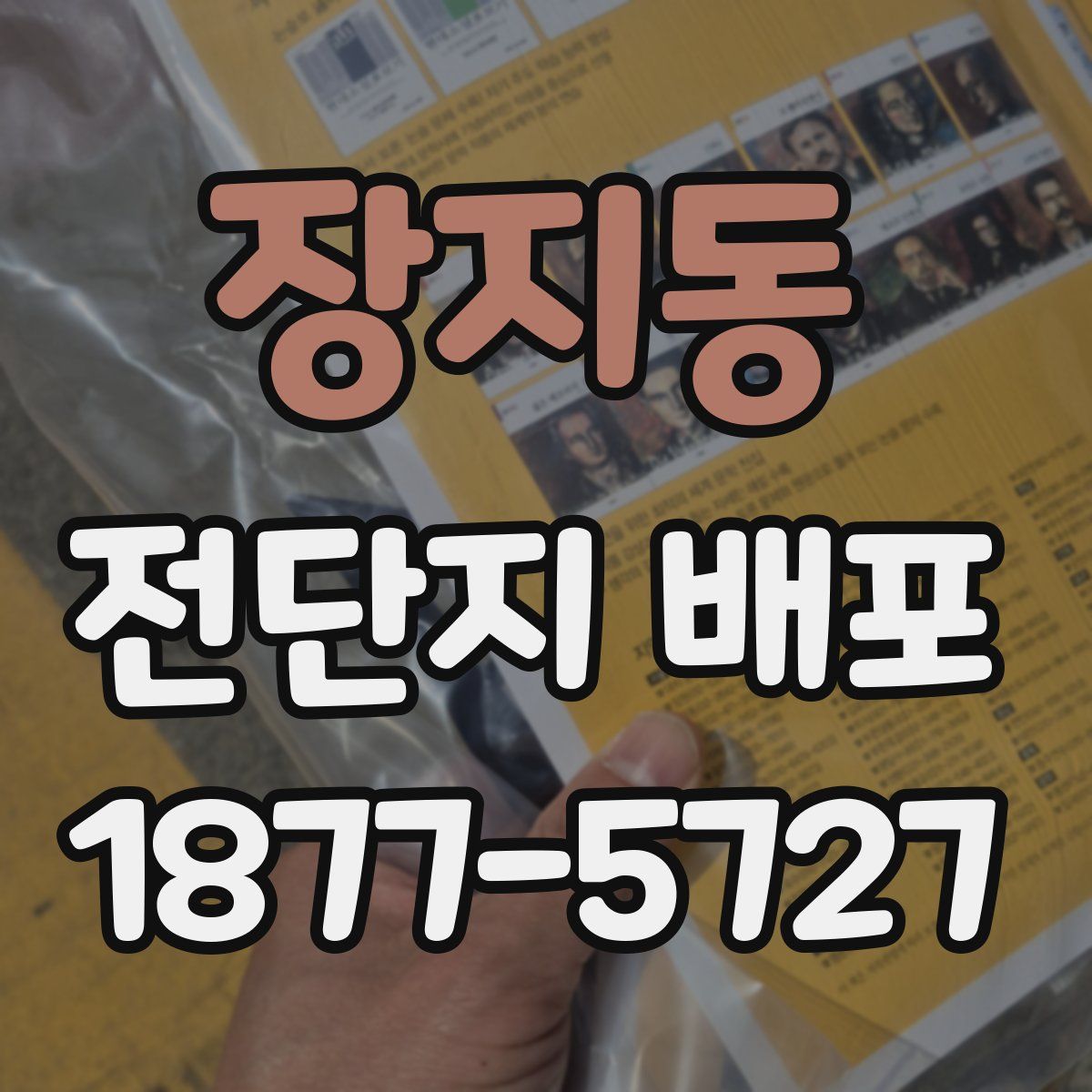 장지동 전단지 배포
