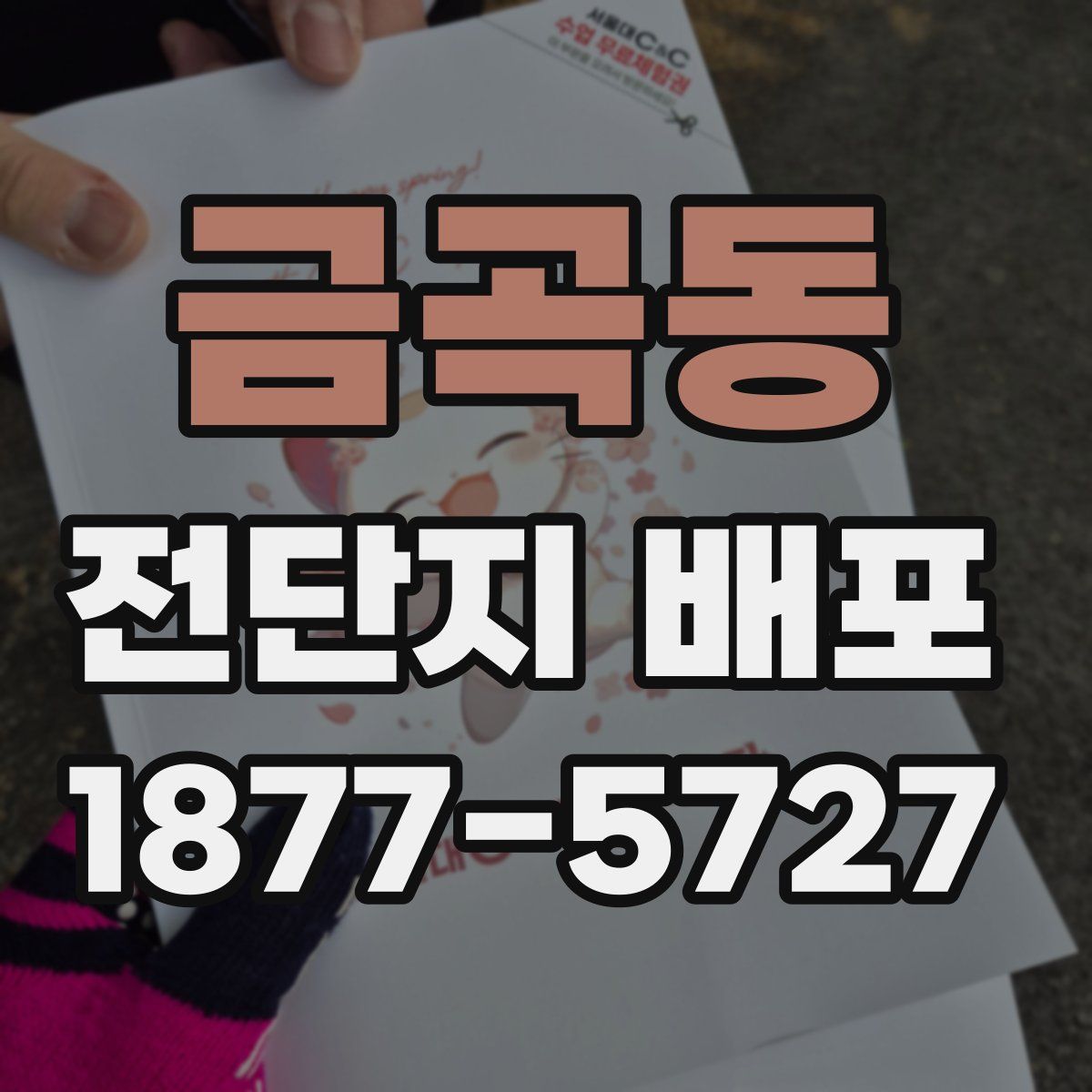 금곡동 전단지 배포