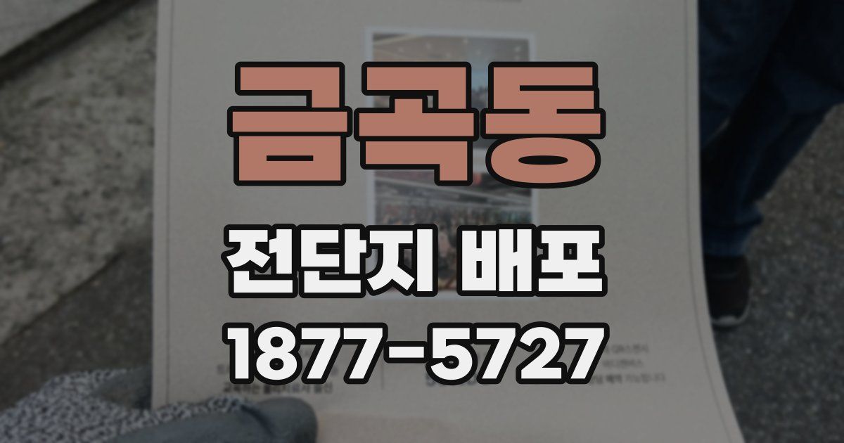 금곡동 전단지 배포