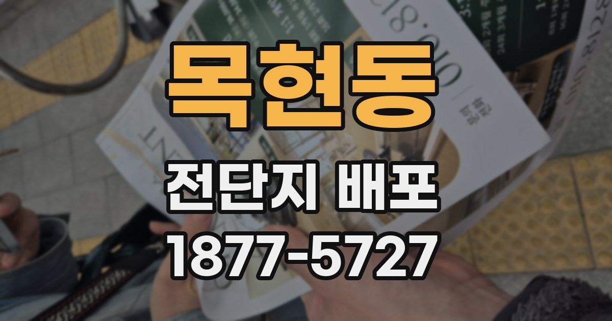 목현동 전단지 배포