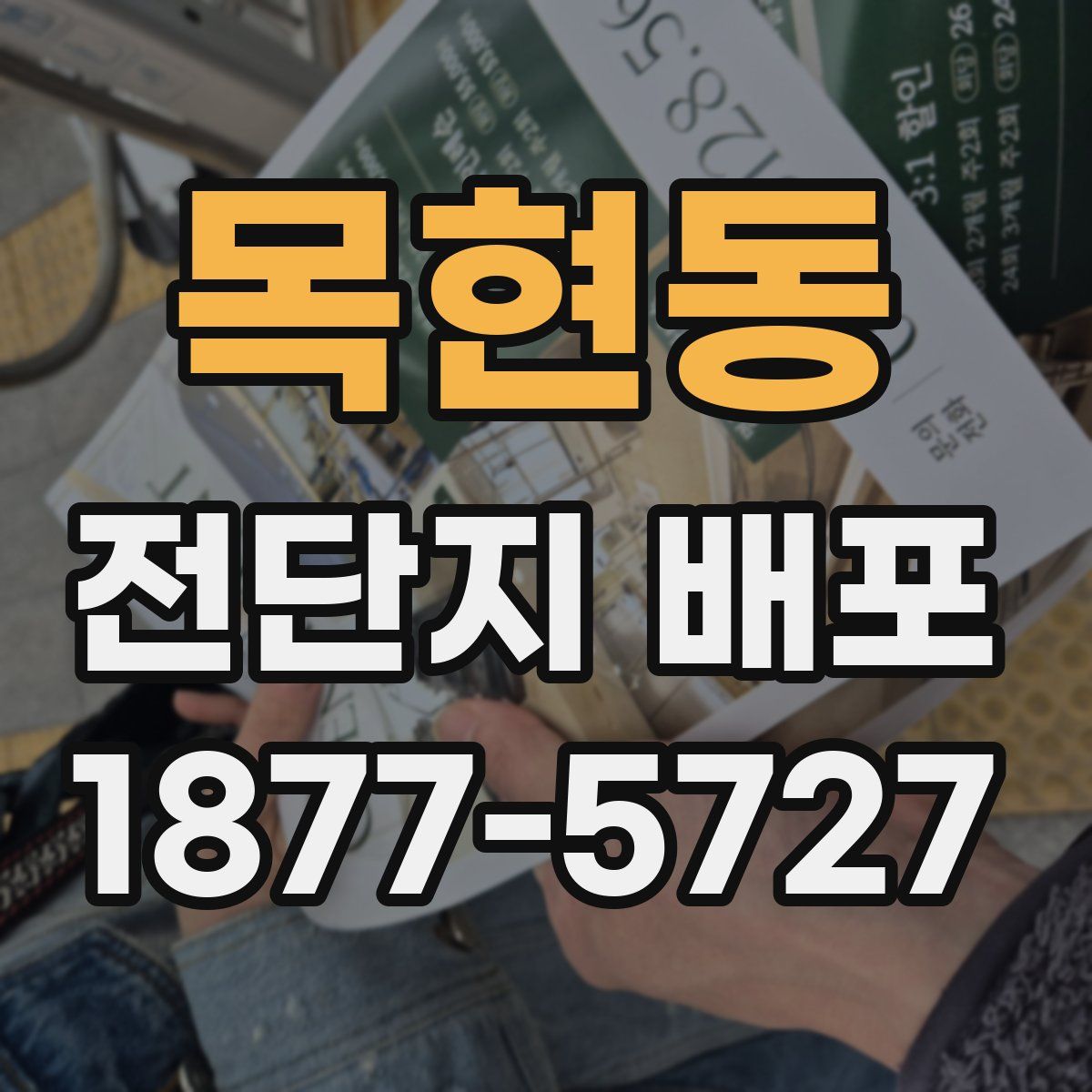 목현동 전단지 배포