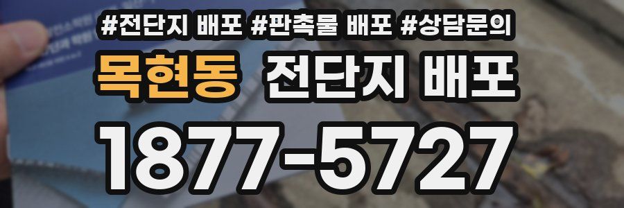 목현동 전단지 배포