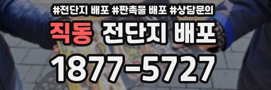 직동 전단지 배포