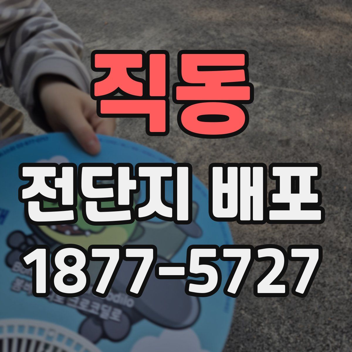 직동 전단지 배포
